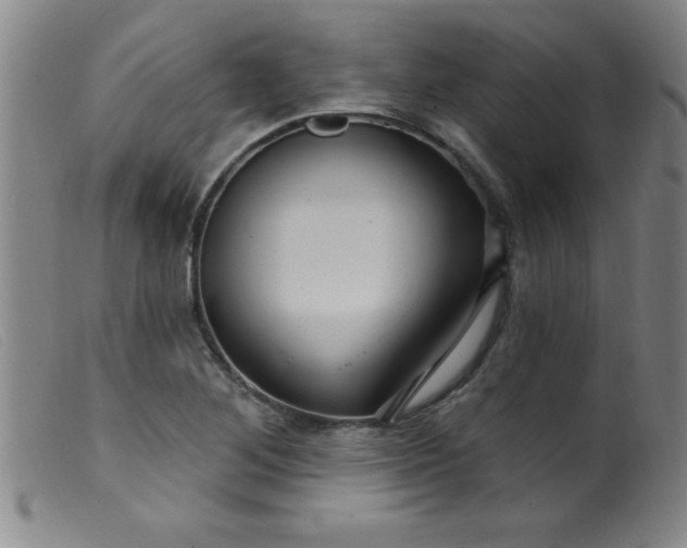 X0000099481268200805231846