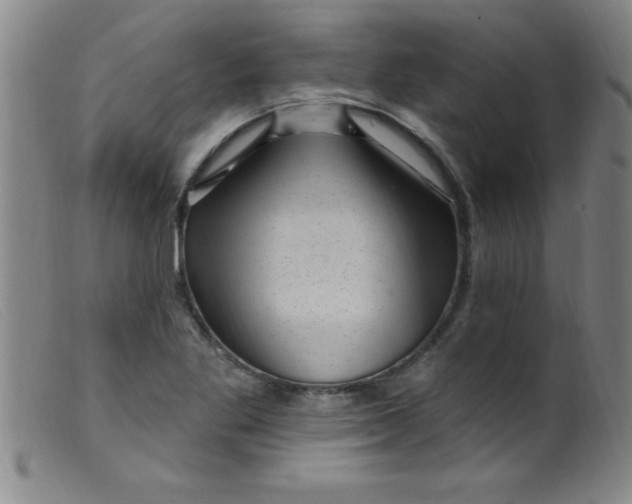 X0000099481269200805231846