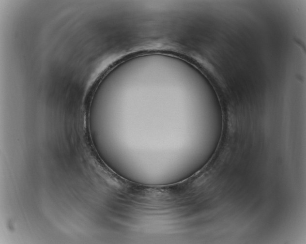 X0000099481270200805231846