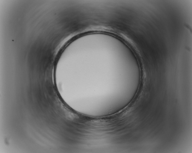 X0000099481272200805231846