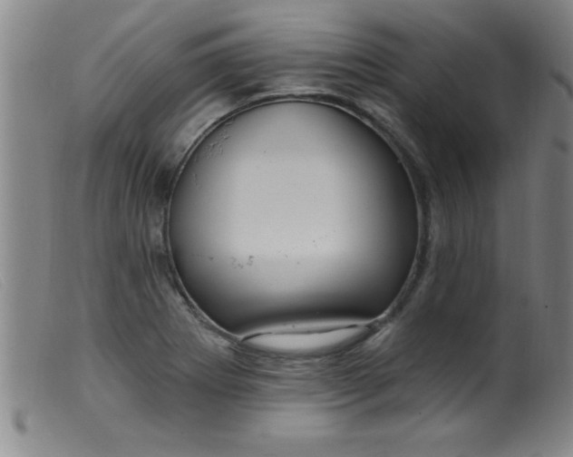 X0000099481273200805231846
