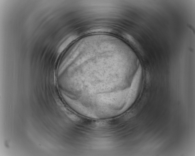 X0000099481274200805231846