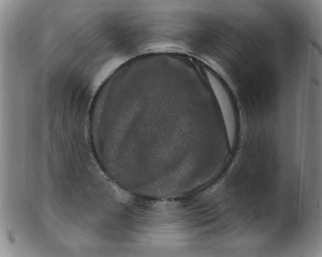 X0000099481277200805231846