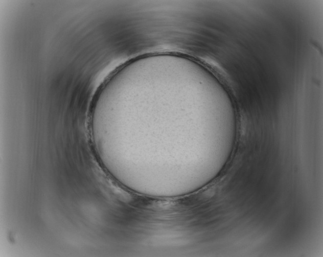 X0000099481278200805231846