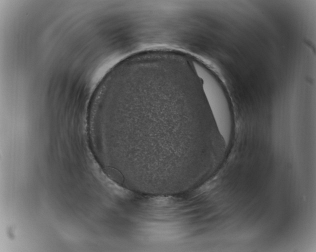 X0000099481279200805231846