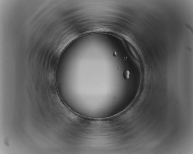 X0000099481281200805231846