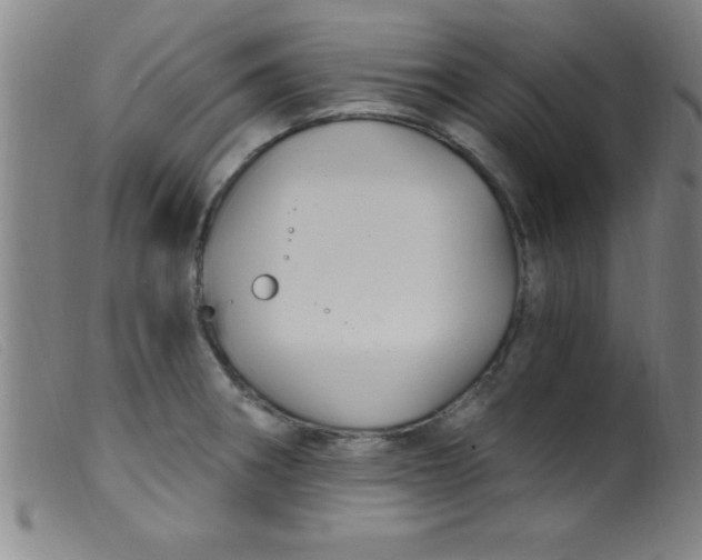 X0000099481282200805231846