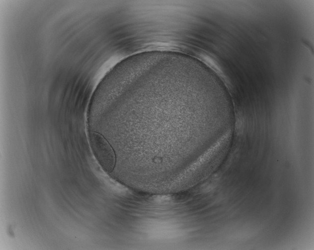 X0000099481283200805231846