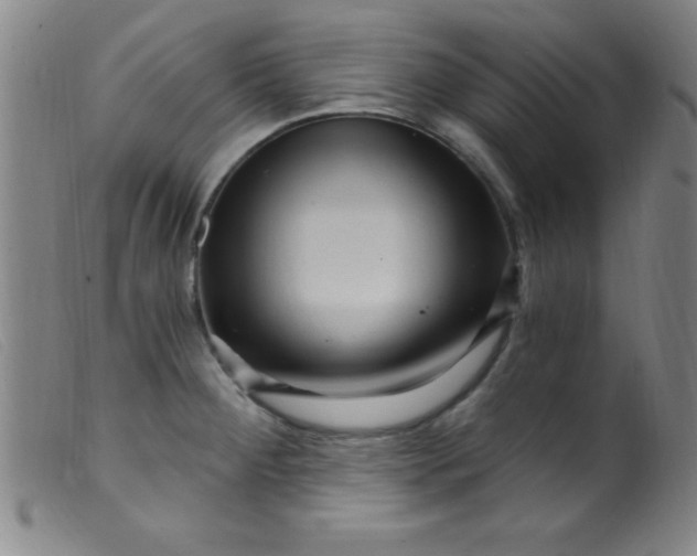 X0000099481284200805231846