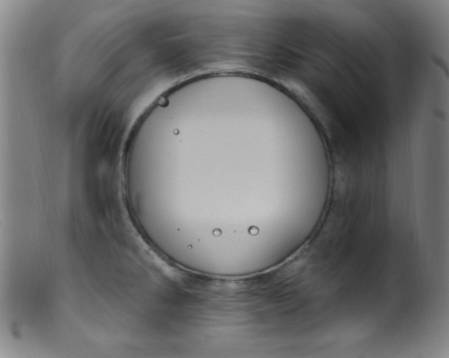 X0000099481286200805231846