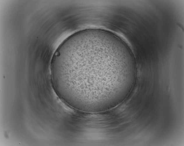 X0000099481287200805231846