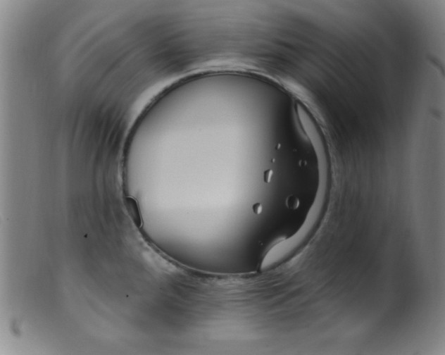 X0000099481288200805231846