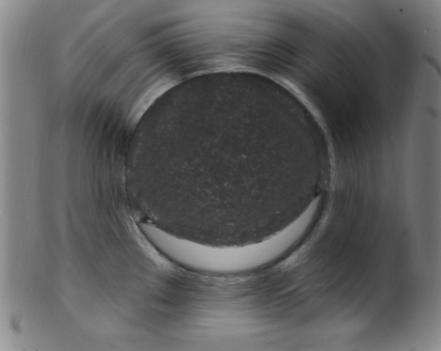 X0000099481289200805231846