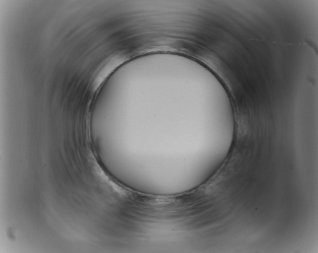 X0000099481290200805231846
