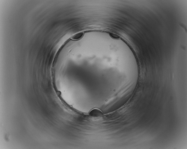 X0000099481291200805231846