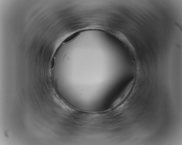 X0000099481292200805231846