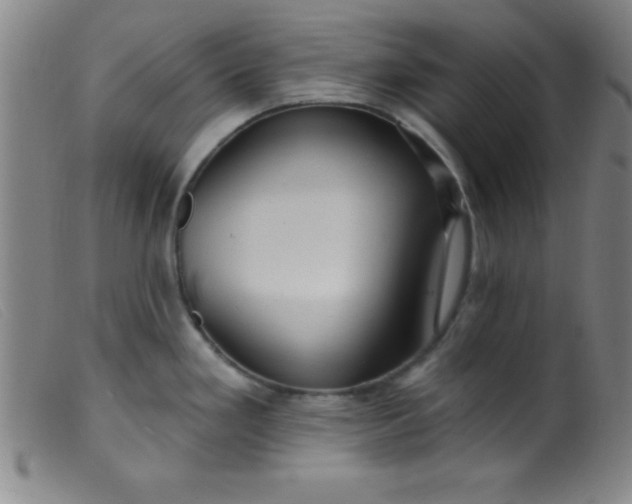 X0000099481293200805231846