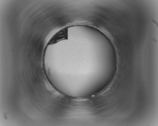 X0000099481296200805231846