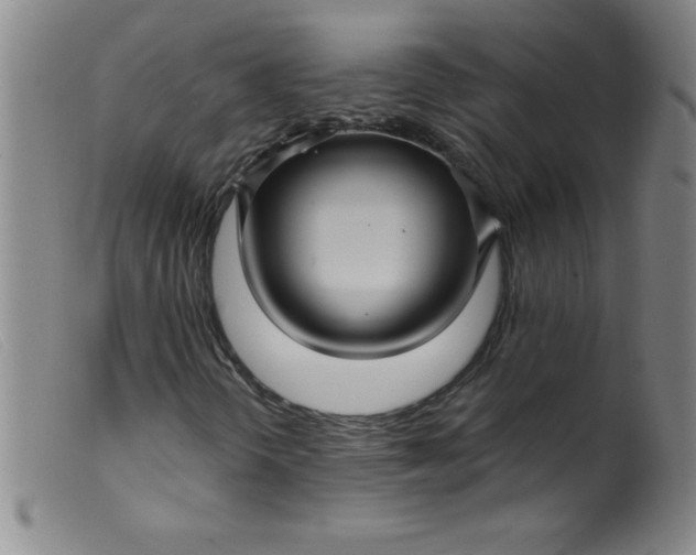 X0000099481298200805231845