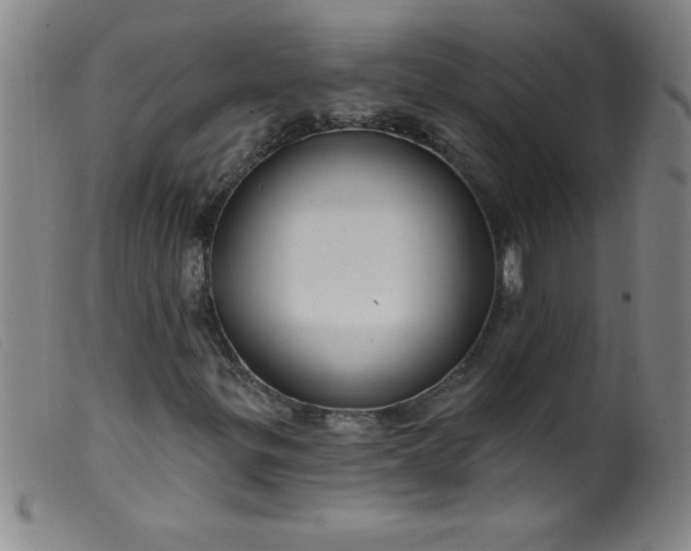 X0000099481299200805231845