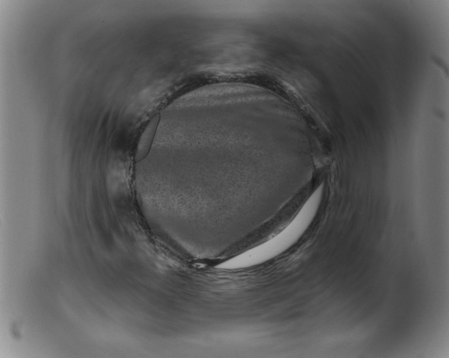X0000099481300200805231845