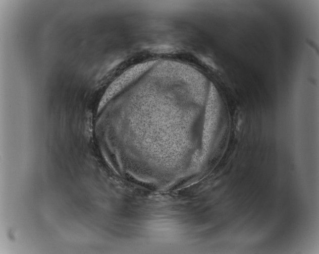 X0000099481301200805231845