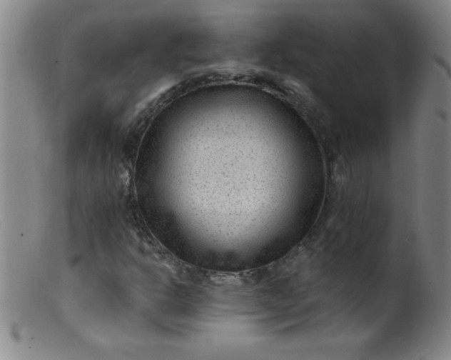 X0000099481302200805231845