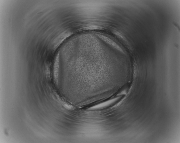 X0000099481305200805231845