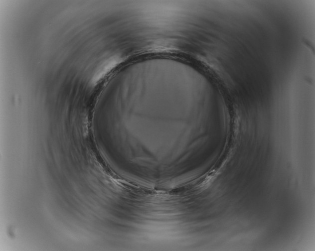 X0000099481306200805231845