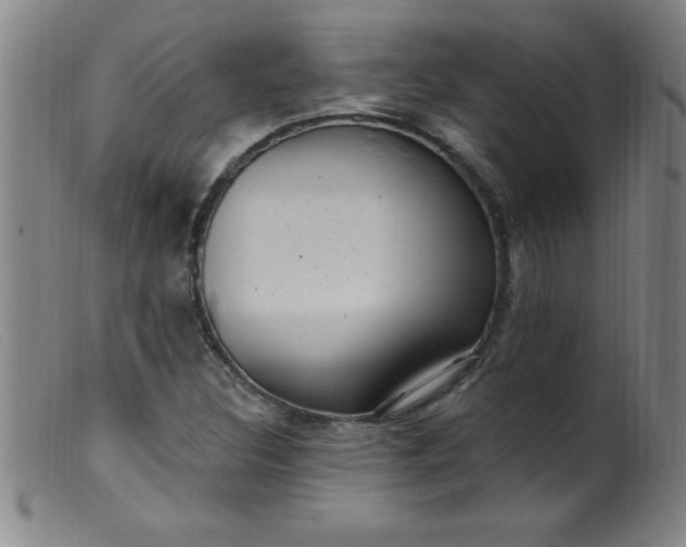 X0000099481308200805231845