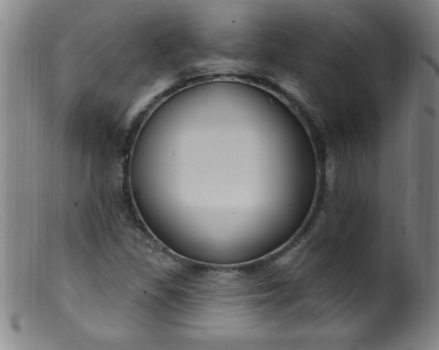 X0000099481309200805231845