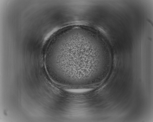 X0000099481310200805231845