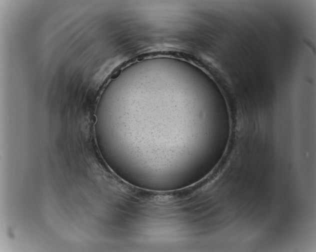 X0000099481313200805231845