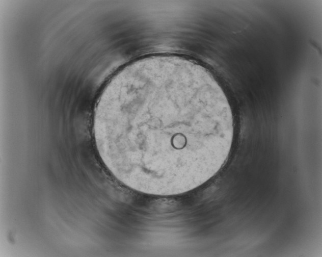 X0000099481314200805231845