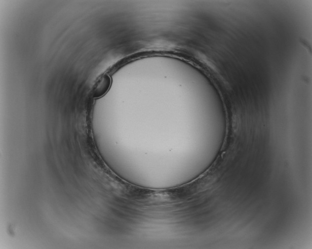 X0000099481315200805231845