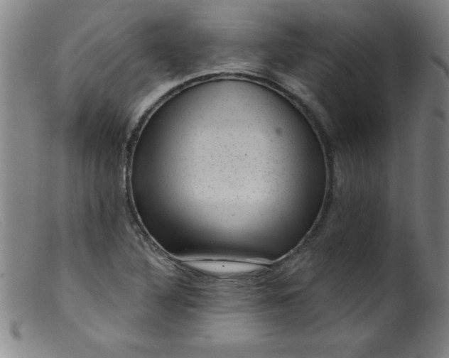 X0000099481316200805231845