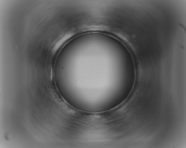 X0000099481317200805231845
