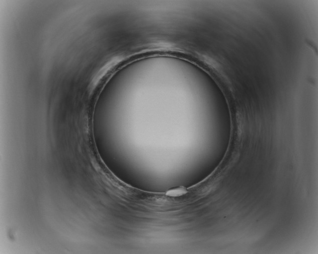 X0000099481318200805231845
