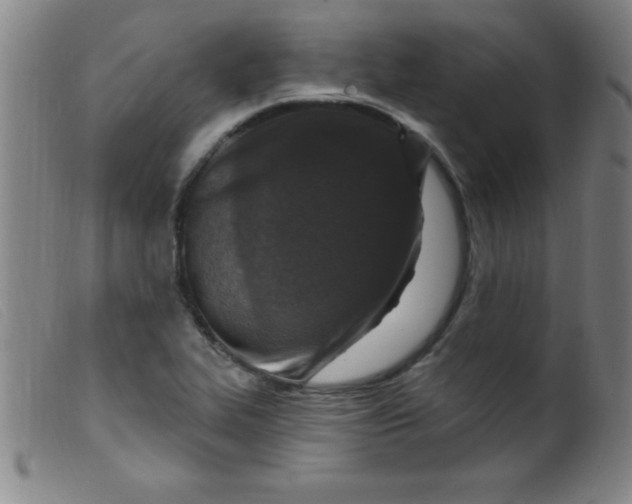 X0000099481319200805231845