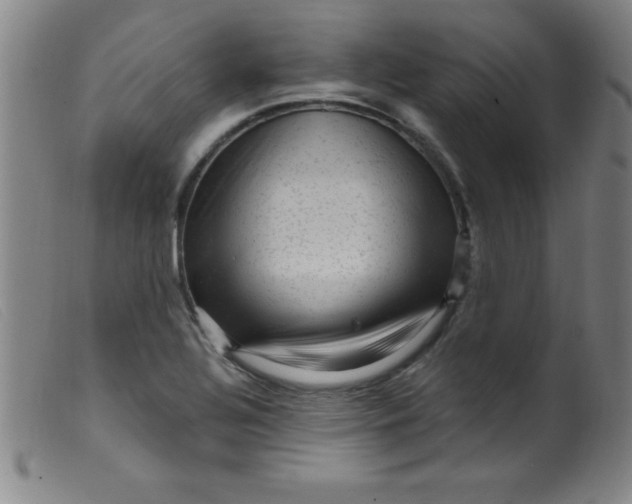 X0000099481320200805231845