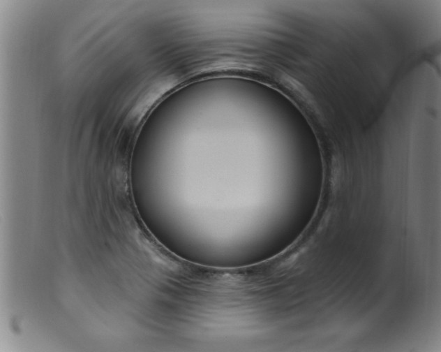 X0000099481321200805231845