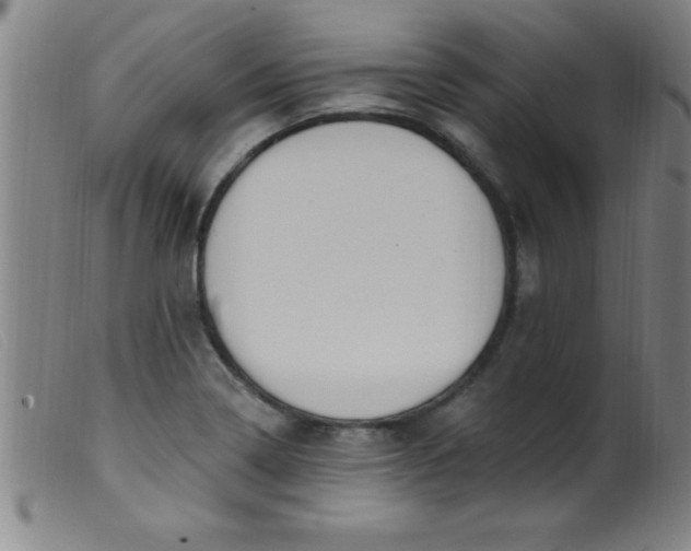 X0000099481322200805231845
