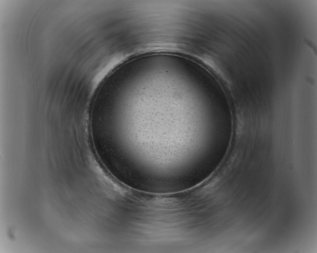 X0000099481325200805231846