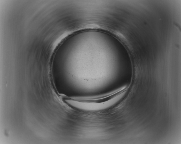X0000099481326200805231846