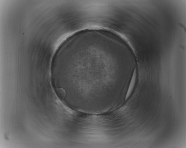 X0000099481327200805231846