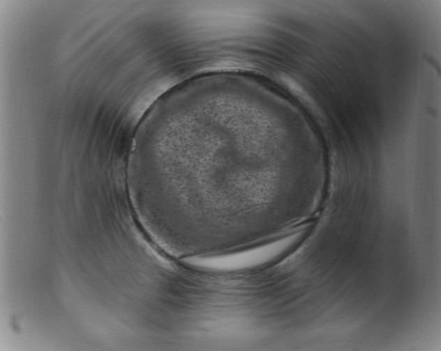 X0000099481329200805231846