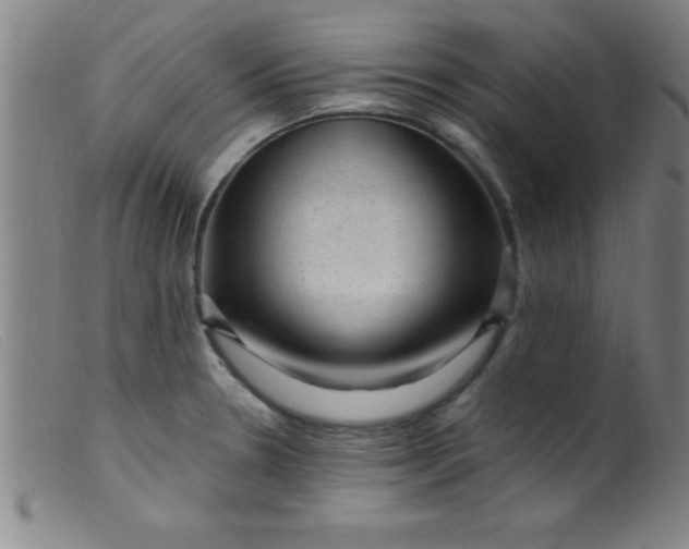 X0000099481330200805231846