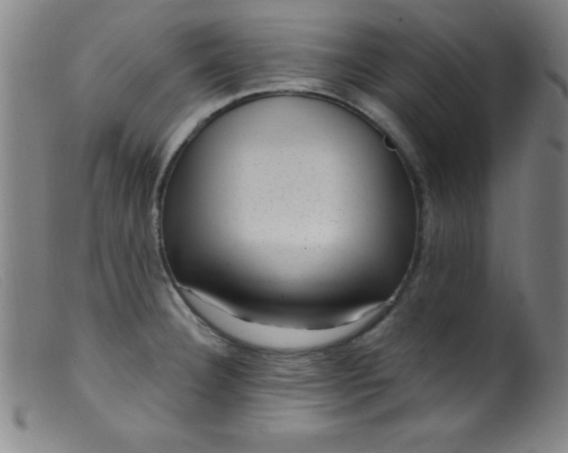 X0000099481332200805231846