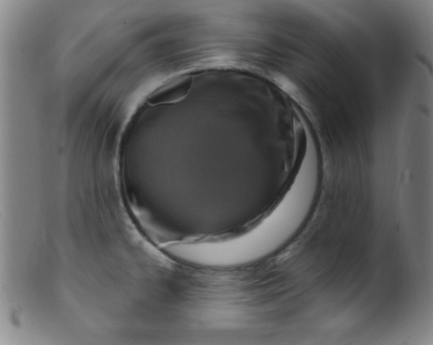 X0000099481334200805231846