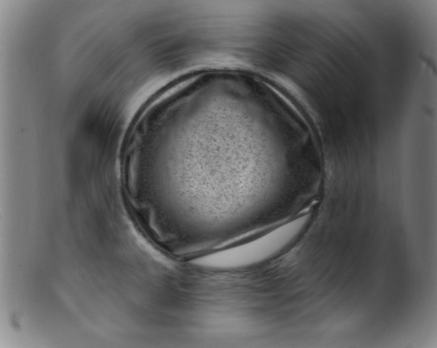 X0000099481335200805231846